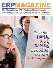 Erp Magazine January – February 2019 ( Issue 2) + Issue 1 Bonus: The Magazine fo