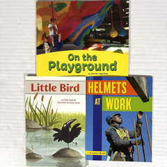 1st Grade Readers Multi-Level Reading Library #5 – 21 Books Levels E-M