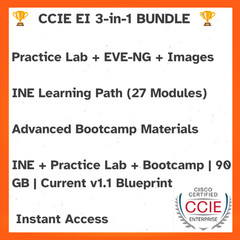 CCIE Enterprise Infrastructure 1.1 Bootcamp + Workbooks Labs Images