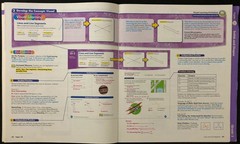 3rd Grade -Pearson enVision 2009 TEACHER’S EDITION Entire Set Topics 1-20 (2009)