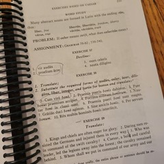 7 Loyola Press Henle Latin Textbook Answer Key 1st 2nd 3rd 4th Year Homeschool