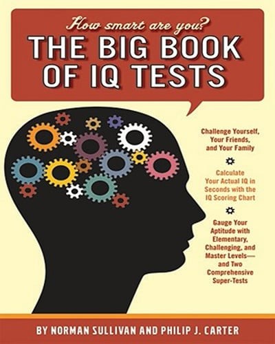 Big Book of IQ Tests by Norman Sullivan: Used