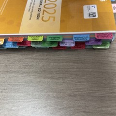 CPT 2025 Professional Edition AMA American Medical Association Tabs