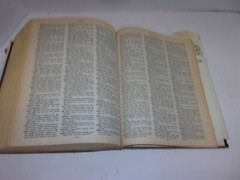New Webster’s Dictionary And Thesaurus Of The English Language 1992, 1248 Pages