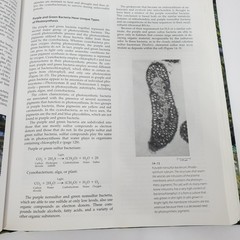 Biology of Plants by Raven, Evert & Eichhorn Sixth Edition Hardcover Books
