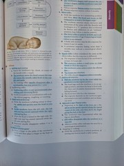 Saunders Comprehensive Review NCLEX-RN Examination 9th Edition Paperback