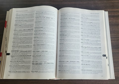 McGraw-Hill’s Dictionary of American Idioms and Phrasal Verbs Hard Cover