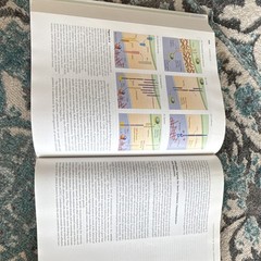 Neuroscience 4th Ed Hardcover Textbook (2008, Sinauer Associates)