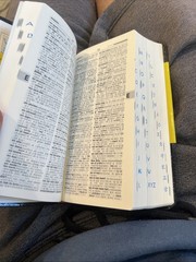 MINJUNG’S HANDY ENGLISH/KOREAN – ENGLISH DICTIONARY