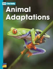 Animal Adaptions Paperback LLC Staff Benchmark Education Co.