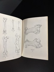 Mammalian Osteo-Archaeology: North America, B Miles Gilbert, 1973