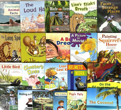 1st Grade Readers Multi-Level Reading Library #5 – 21 Books Levels E-M