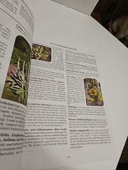 Lost Book of Remedies by Nicole Apelian and Claude Davis Sr.