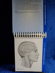 The Channels of Acupuncture Cards Giovanni Maciocia 2006 Elsevier Set