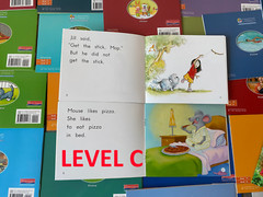 Fountas & Pinnell LLI Orange System Complete Set 1-110 Color Readers Level A-E
