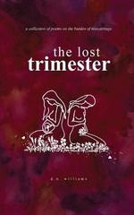 The Lost Trimester by Diamond Nicole Williams Paperback Book