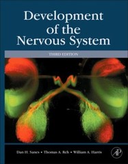 Development of the Nervous System Hardcover