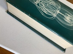 Coelenterate Ecology and Behavior b Hardcover by G. O. Mackie