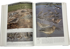 Signed Autographed Copy The Crossley ID Guide: Eastern Birds Bird Watching
