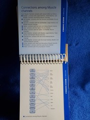 The Channels of Acupuncture Cards Giovanni Maciocia 2006 Elsevier Set