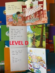 Fountas & Pinnell LLI Orange System Complete Set 1-110 Color Readers Level A-E