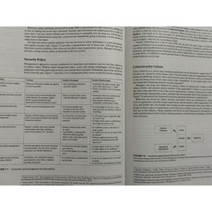 Managing & Using Information Systems 7th Ed Strategic Paper Back