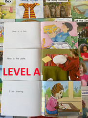 Fountas & Pinnell LLI Orange System Complete Set 1-110 Color Readers Level A-E