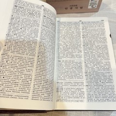 Minjung’s Essence Korean-English Dictionary – NEW OTHER