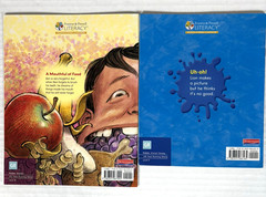 1st Grade Readers Multi-Level Reading Library #5 – 21 Books Levels E-M