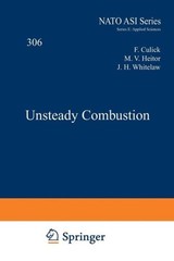 Unsteady Combustion