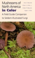 Mushrooms of North America in Color : A Field Guide Companion to