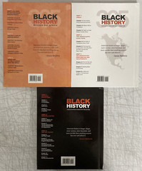 Black History 365 Kindergarten – 8th Grade Books w/ Teacher Resource Guides