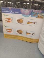 Curriculum Associates Mississippi Ready K Student Workbook Good No Writing.