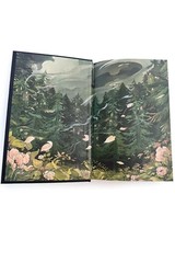 Shield of Sparrows by Devney Perry (English) Hardcover Book