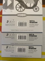 Geodes Wilson Fundations book. Level 1 variety