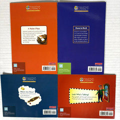 1st Grade Readers Multi-Level Reading Library #5 – 21 Books Levels E-M