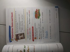 Unused Houghton Mifflin English 1st Grade Homeschool Homework. Workbook