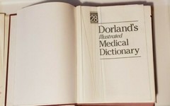 Dorland’s Pocket Medical Dictionary, 28th Edition dust jacket hardcover fullsize
