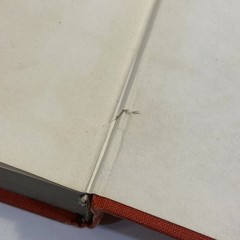 How Does A Poem Mean? Second Edition 1975 Ciardi & Williams HMCO Hardcover