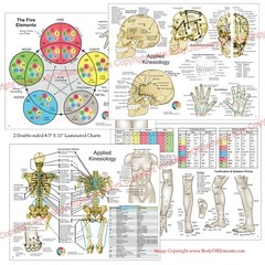 Applied Kinesiology Chart Set 8.5″ X 11″ Chiropractic Acupuncture Reference