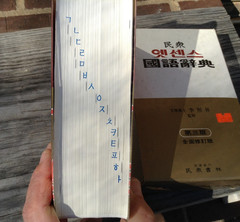 lot Minjungseorim English-Korean & other Korean dictionary softcovers + slipcase