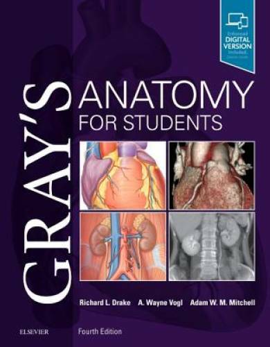 Gray’s Anatomy for Students – Paperback By Drake PhD FAAA, Richard – GOOD
