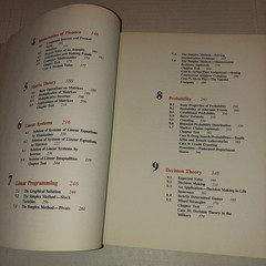 Mathematics Calculus with Applications Lial – Miller 1980 Examination Copy