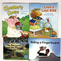 1st Grade Readers Multi-Level Reading Library #5 – 21 Books Levels E-M