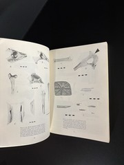 Mammalian Osteo-Archaeology: North America, B Miles Gilbert, 1973