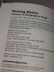 Writing Basics: Sentence to Paragraph to Essay Fifth Edition by Panman