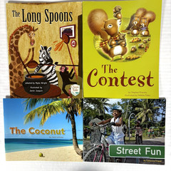 1st Grade Readers Multi-Level Reading Library #5 – 21 Books Levels E-M