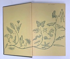 Vintage 1952 Textbook Biology: The Human Approach by Claude Villee Rare OOP