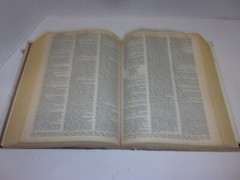 New Webster’s Dictionary And Thesaurus Of The English Language 1992, 1248 Pages