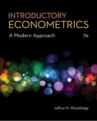 Jeffrey Wooldridge Introductory Econometrics (Hardback) (UK IMPORT)